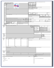 Methods of issuing export and transit bills